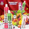 Rabbit Pod 1 lần view1