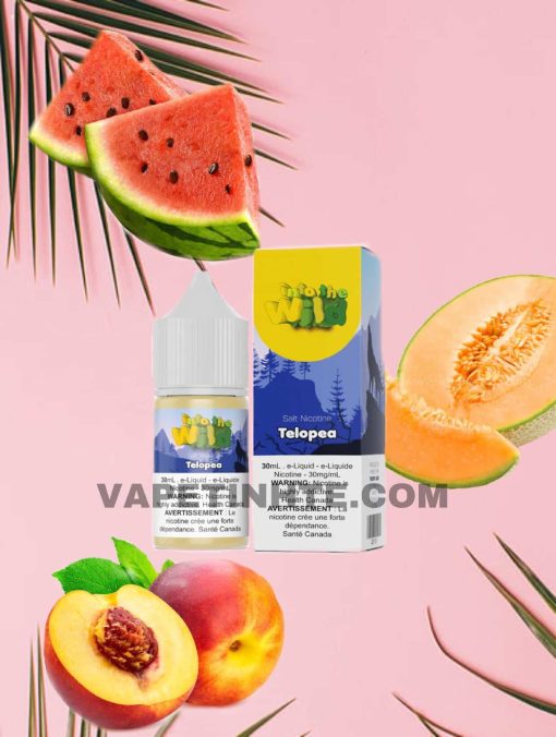 In to the Wild vapetinhte dưa hấu dưa gang đào